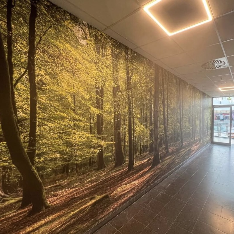 Bildtapete in einem Einkaufszentrum in Langenfeld